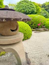【島根】期間限定の絶景の庭園🌼 🌸【由志園の牡丹祭り】🌸