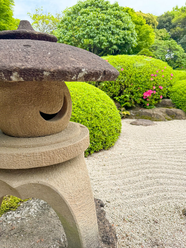 【島根】期間限定の絶景の庭園🌼 🌸【由志園の牡丹祭り】🌸