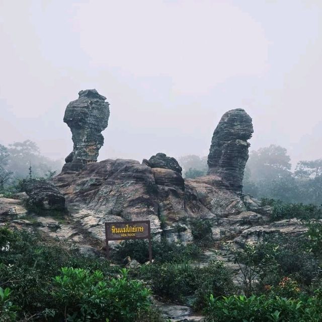 ป่าหินในสายหม่านหมอก