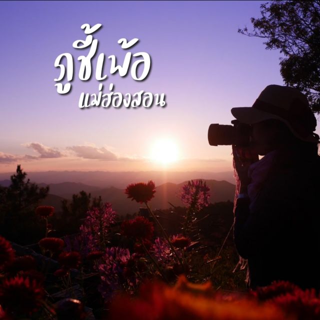 เที่ยวภูเขา ภูชี้เพ้อ แม่ฮ่องสอน 