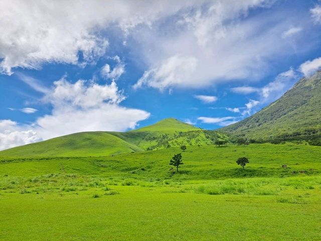 【由布岳:大分県由布市】夏を感じる緑が綺麗な絶景由布岳⛰️