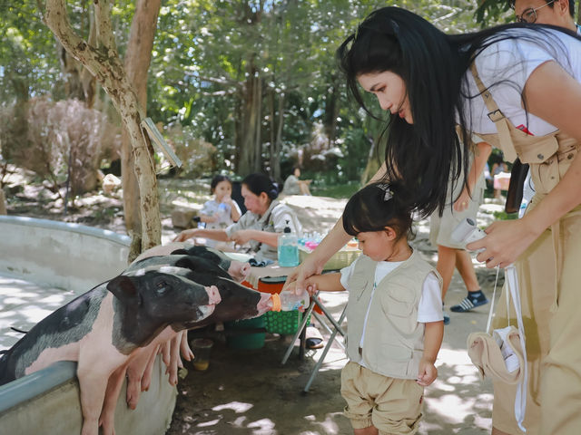 Huahinsafari & Adventure Park