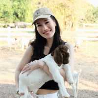 ดุสิตธานี หัวหิน