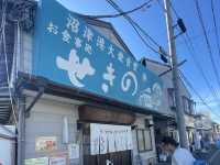 【静岡】穴場海水浴場⛱️大瀬崎