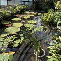 The Secret Garden of 1Utama Mall