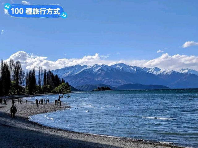 紐西蘭南島-佇立於瓦納卡湖中的孤獨之樹：that wanaka tree