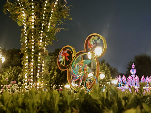 🇨🇳 上海-迪士尼 🎠