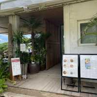 【宮古島】全席オーシャンビューの超おしゃれカフェ☕️🌺