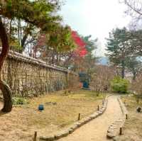 역대급 가을 느낄 수 있는 여기는⁉️