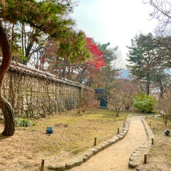 역대급 가을 느낄 수 있는 여기는⁉️