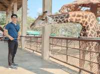 รีวิว เที่ยวสวนสัตว์ บึงฉวาก 🐅🦓🦒