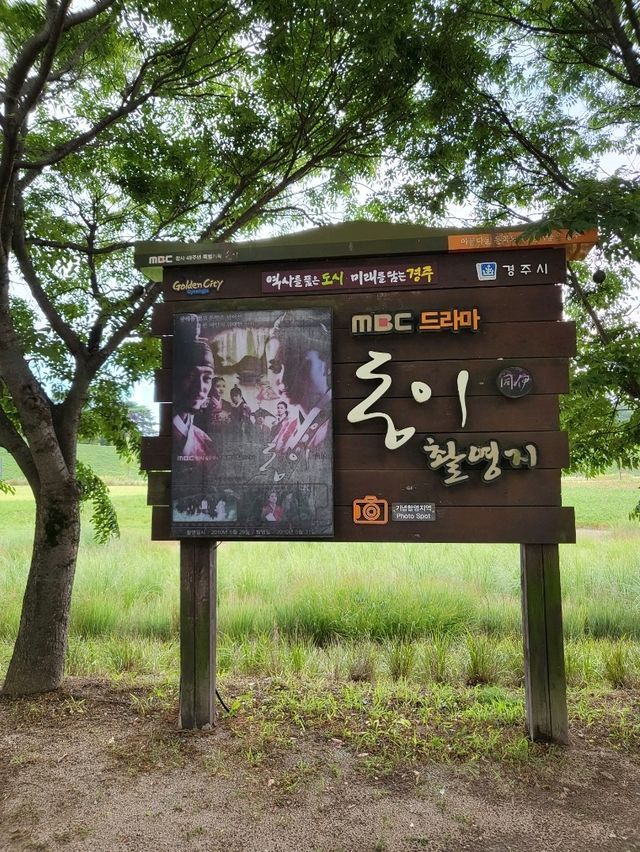 백일홍 만개한 힐링 경주여행지