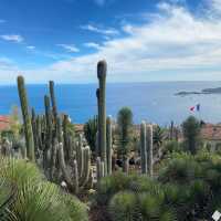 The French Riviera: Glamour by the Sea