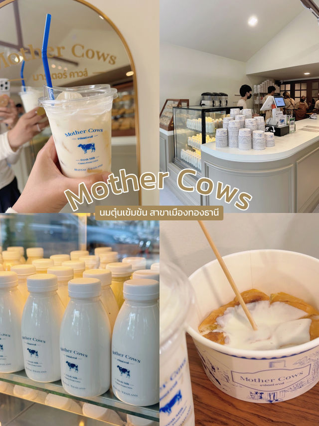 Mother Cows.เมืองทองธานี 🍶🤍🐄💙