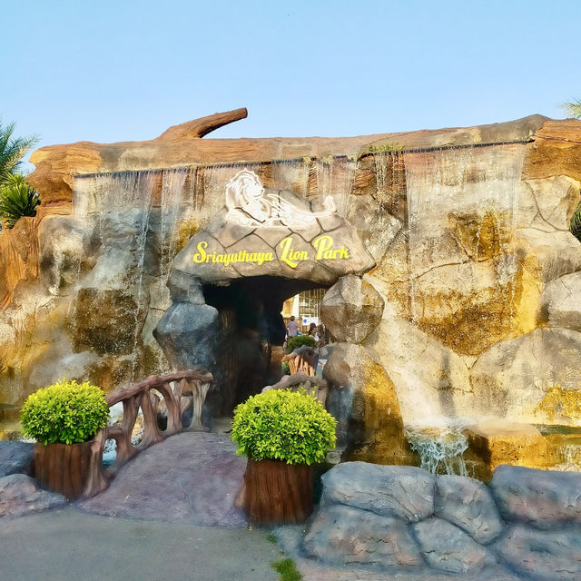 Sriayuthaya Lion Park 🦁