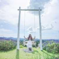 คาเฟ่เปิดใหม่ เขาใหญ่