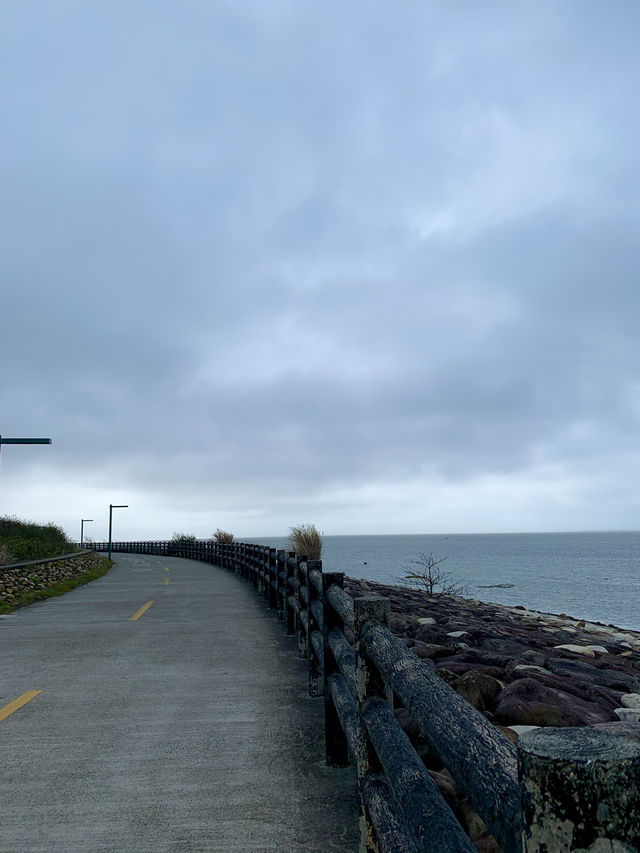 🚴‍♂️ 新竹十七公里海岸線 - 絶景と自然が楽しめるサイクリングロード*🚴‍♀️