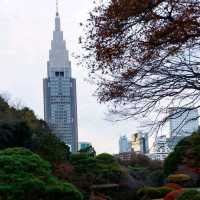 ฤดูที่แตกต่าง Shinjuku Gyoen