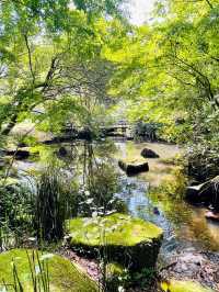 【東京都】昭和記念公園で気軽にサイクリング