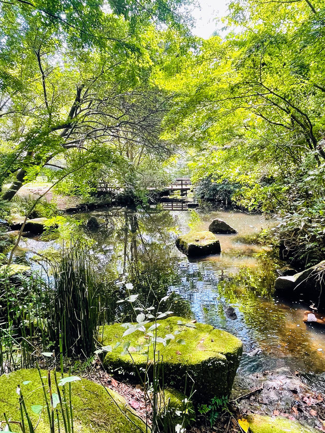 【東京都】昭和記念公園で気軽にサイクリング