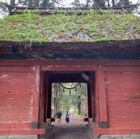 戸隠神社　杉並木参道