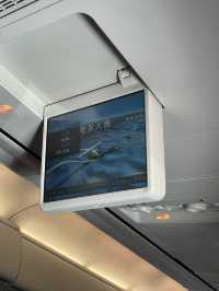 奄美大島　飛行機で行く大阪→奄美大島✈️