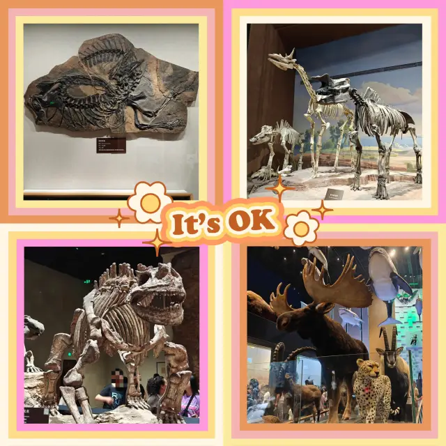 ～北京自然博物館～知識寶庫～