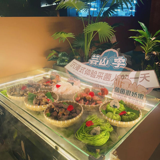 【深圳必吃雲南火鍋推介】