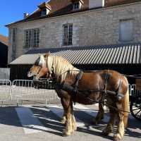 An one-of-a-kind experience in a forgotten city 