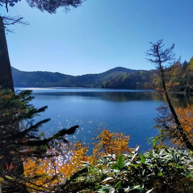 Reconnect with Nature at Oze National Park