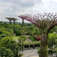 OCBC SKY WAY♪♪