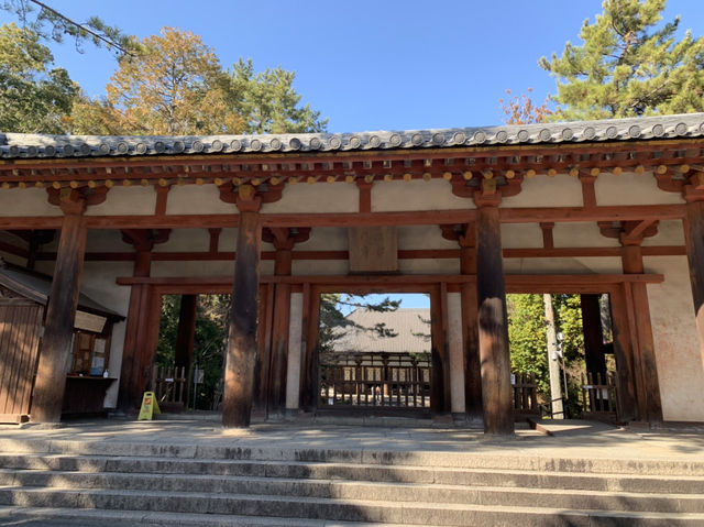 平城京遺跡