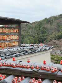 達摩神社！💗勝尾寺💗跟著這篇走不迷路