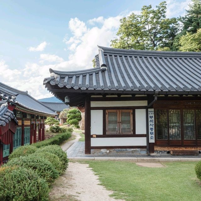 고요하고 시원한 산책길
