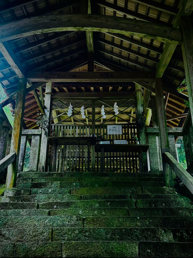 【岐阜】⚠️超穴場⚠️神々しい空気感はぜひ体感して欲しい😨何らかのパワーを授かれそうな期待感は計り知れず✨