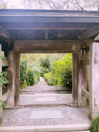 【神奈川県/北鎌倉　秋の明月院も趣がある庭園や風景を堪能できてオススメ！】