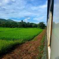 นั่งรถไฟเที่ยวจากสถานีเชียงใหม่ สู่ดอยขุนตาล