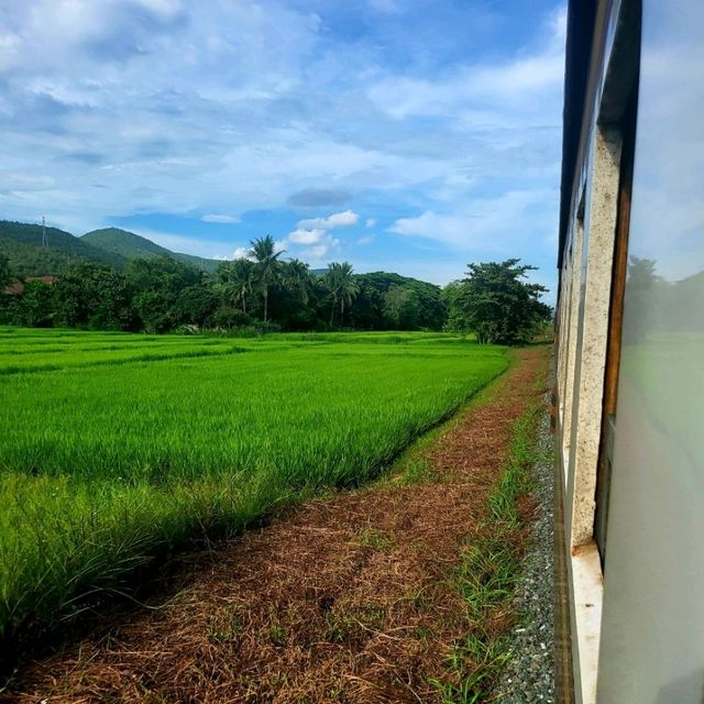 นั่งรถไฟเที่ยวจากสถานีเชียงใหม่ สู่ดอยขุนตาล
