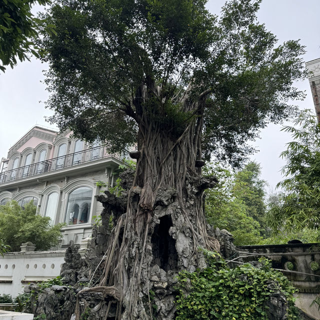 Foshan 