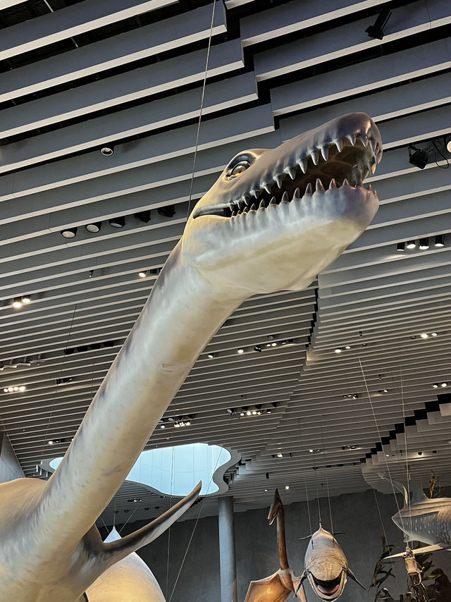 Museum ราคาดีที่ห้ามพลาดเมื่อมาเที่ยวเซี่ยงไฮ้ 🦕