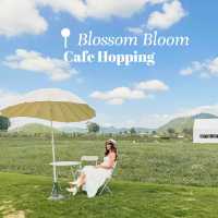 #ที่พักglamping ไปเขาใหญ่ห้ามพลาดร้านนี้ ✨ 🌳