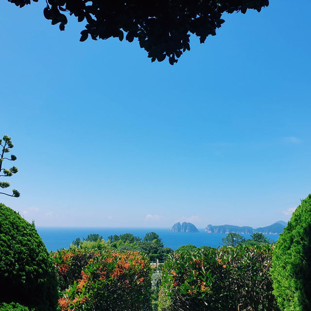 한국의 와이키키 외도 보타니아🥰