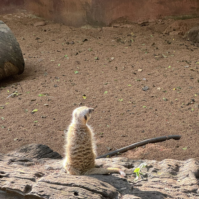 Perth Zoo