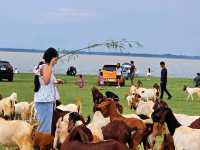 จุดชมวิวบ้านท่าฤทธิ์ เขื่อนป่าสักชลสิทธิ์ วิวปัง