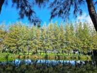 Baanna Kafe คาเฟ่ กลางทุ่งนา บ้านโป่ง ราชบุรี