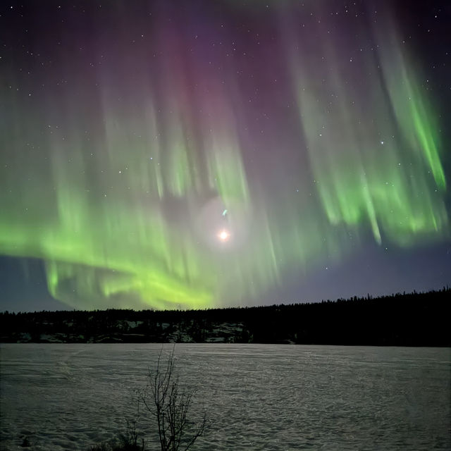 ซักหนึ่งครั้งที่ Yellowknife 