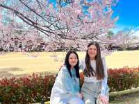 【奈良】迫力満点👏圧巻！奈良の東大寺の大仏様