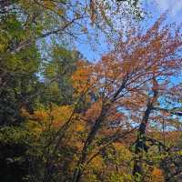 จิ่วจ้ายโกว (Jiuzhai Valley National Park)