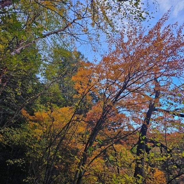 จิ่วจ้ายโกว (Jiuzhai Valley National Park)