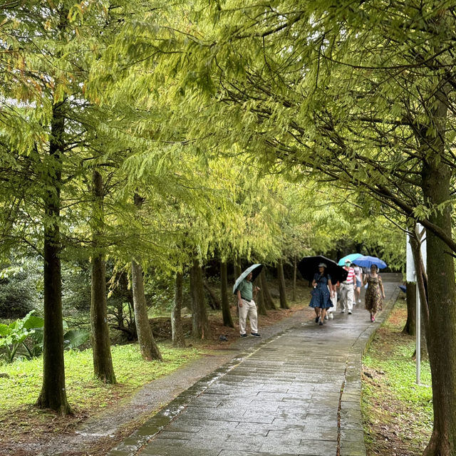 過看著兩邊巍峨山嶺都完全不覺心驚🏞